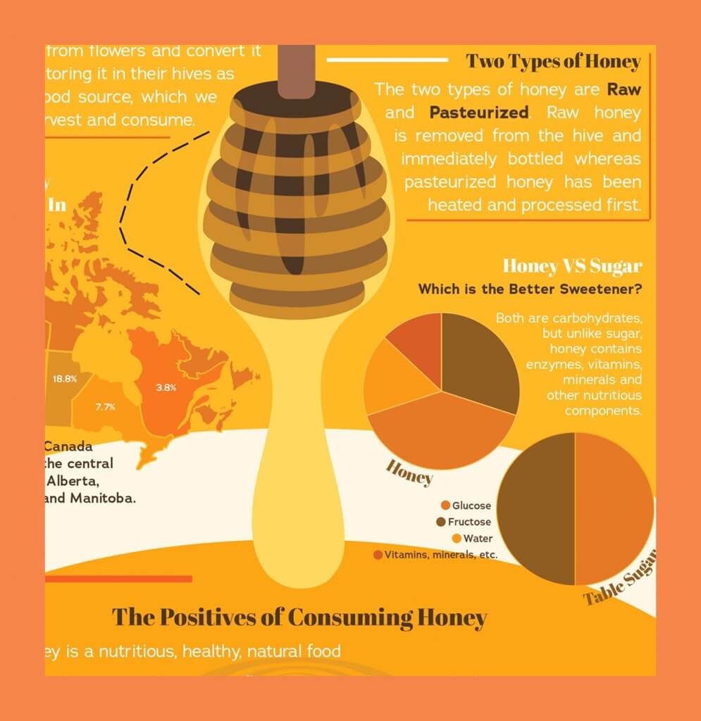 Infographic about honey